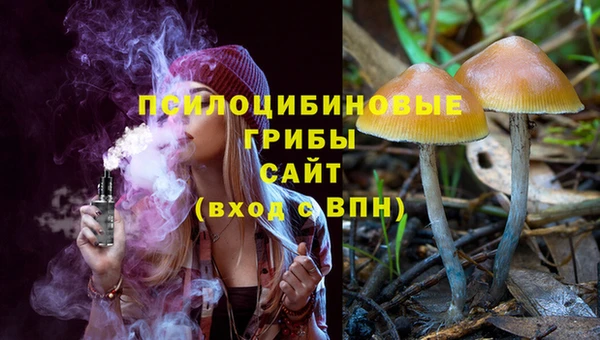 дживик Горно-Алтайск