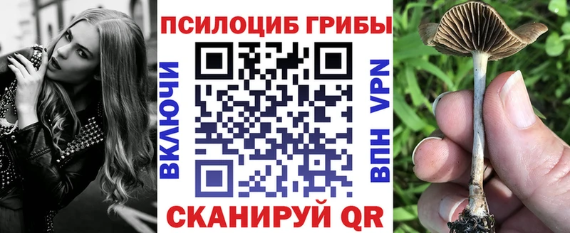 Галлюциногенные грибы GOLDEN TEACHER Наро-Фоминск