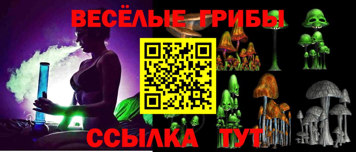 Наро-Фоминск  Псилоцибиновые грибы Magic Shrooms  Вход с VPN 