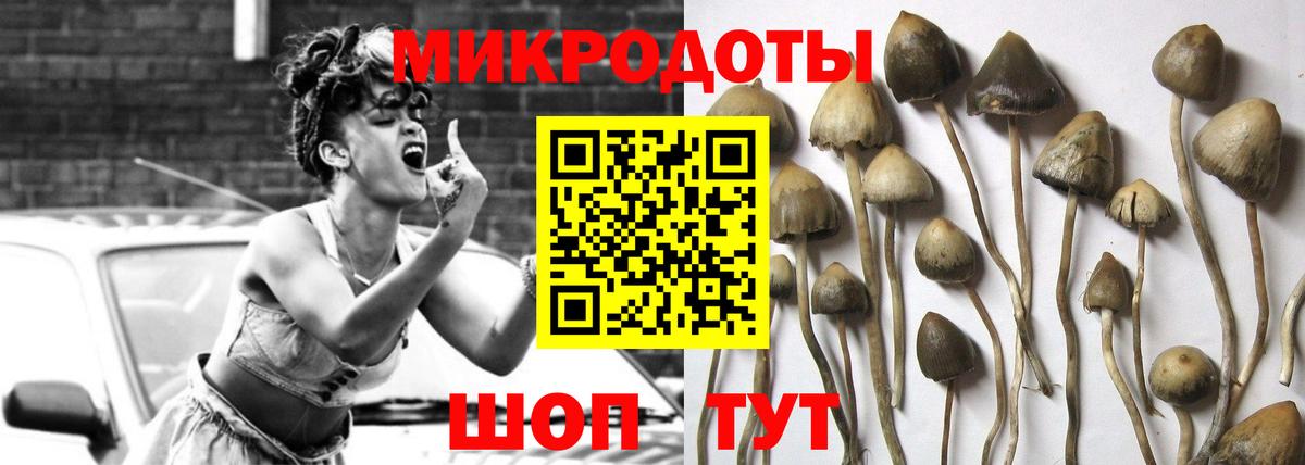 Псилоцибиновые грибы MAGIC MUSHROOMS  Наро-Фоминск 